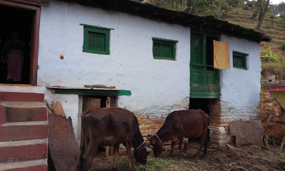 You are currently viewing Uttarakhand Diary