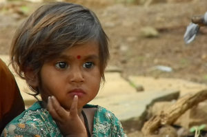 Read more about the article A Requiem for NGOs